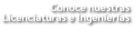 //www.itam.mx