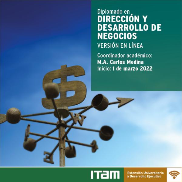 Póster Diplomado en Dirección y Desarrollo de Negocios, Versión en Línea